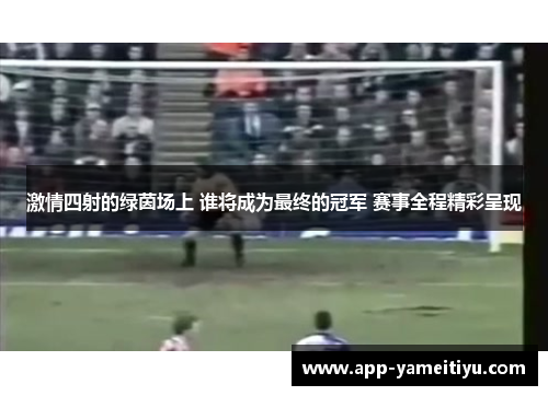 激情四射的绿茵场上 谁将成为最终的冠军 赛事全程精彩呈现