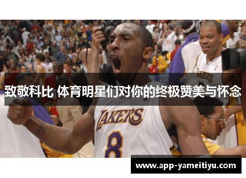 致敬科比 体育明星们对你的终极赞美与怀念