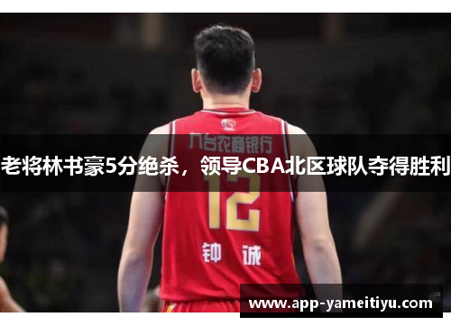 老将林书豪5分绝杀，领导CBA北区球队夺得胜利