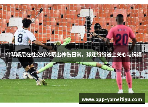 什琴斯尼在社交媒体晒出养伤日常，球迷纷纷送上关心与祝福
